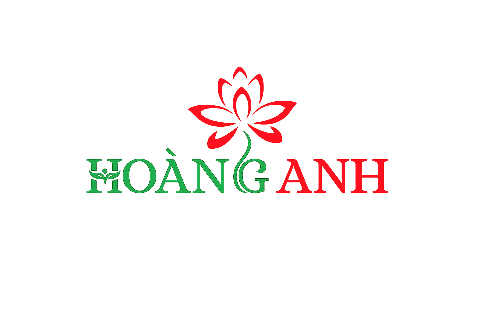 CÔNG TY TNHH THƯƠNG MẠI VÀ DỊCH VỤ HOÀNG ANH LOGISTICS